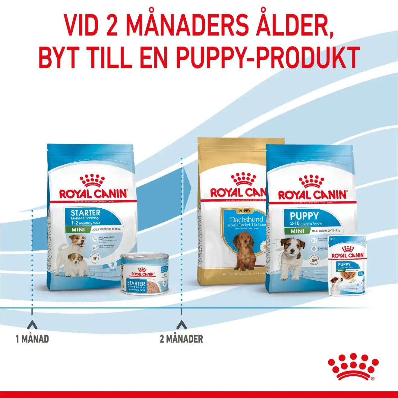 Mini Starter Mother &amp; Babydog Tørrfôr for hunder