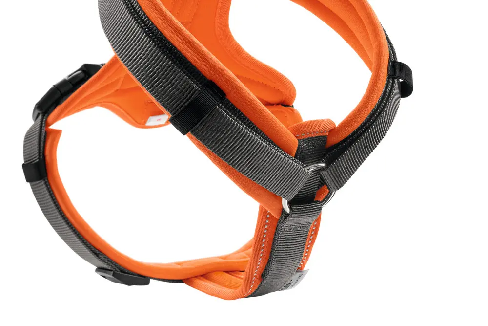 Harness Maldon Up Polyester orange/grey
