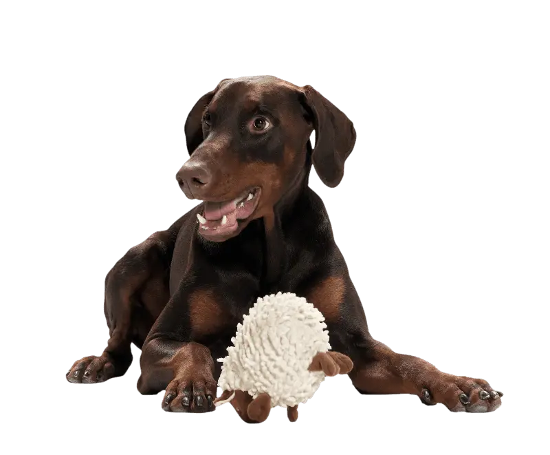 Hundeleketøy Snugly Sheep
