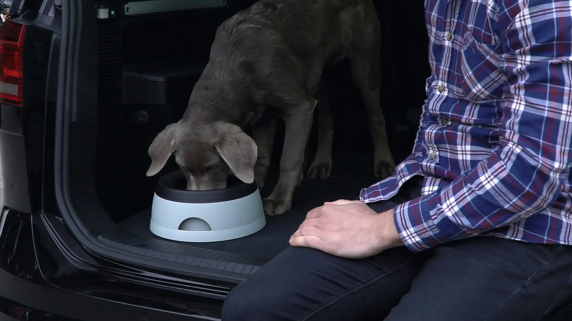 Dog Travel Bowl Road Refresher