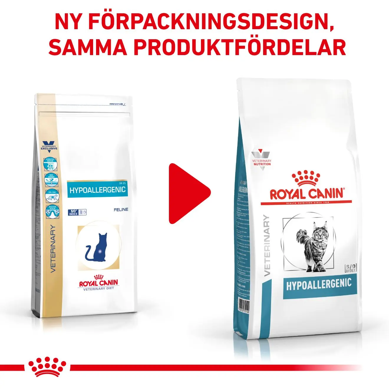 Derma Hypoallergenic kissan kuivaruoka