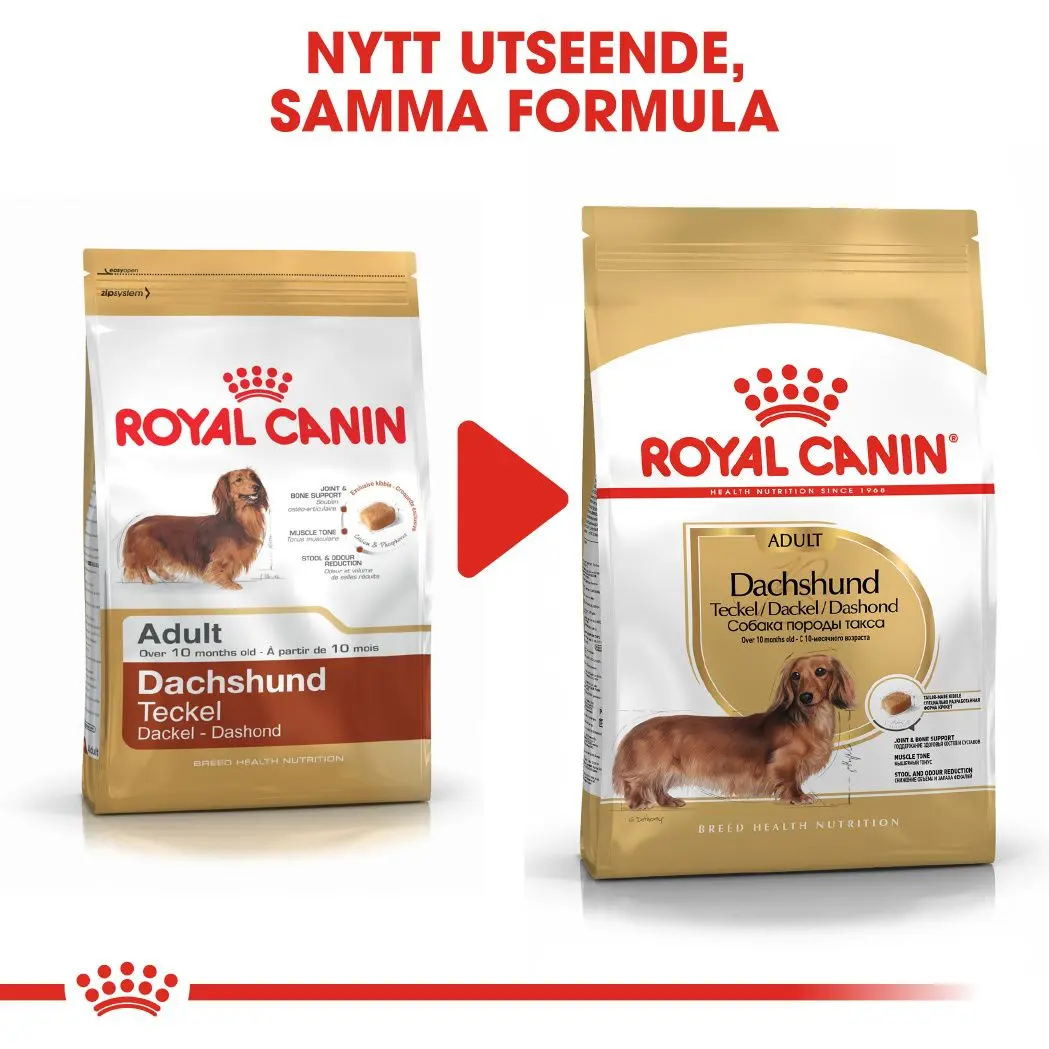 Mäyräkoira Adult Dry food koirille
