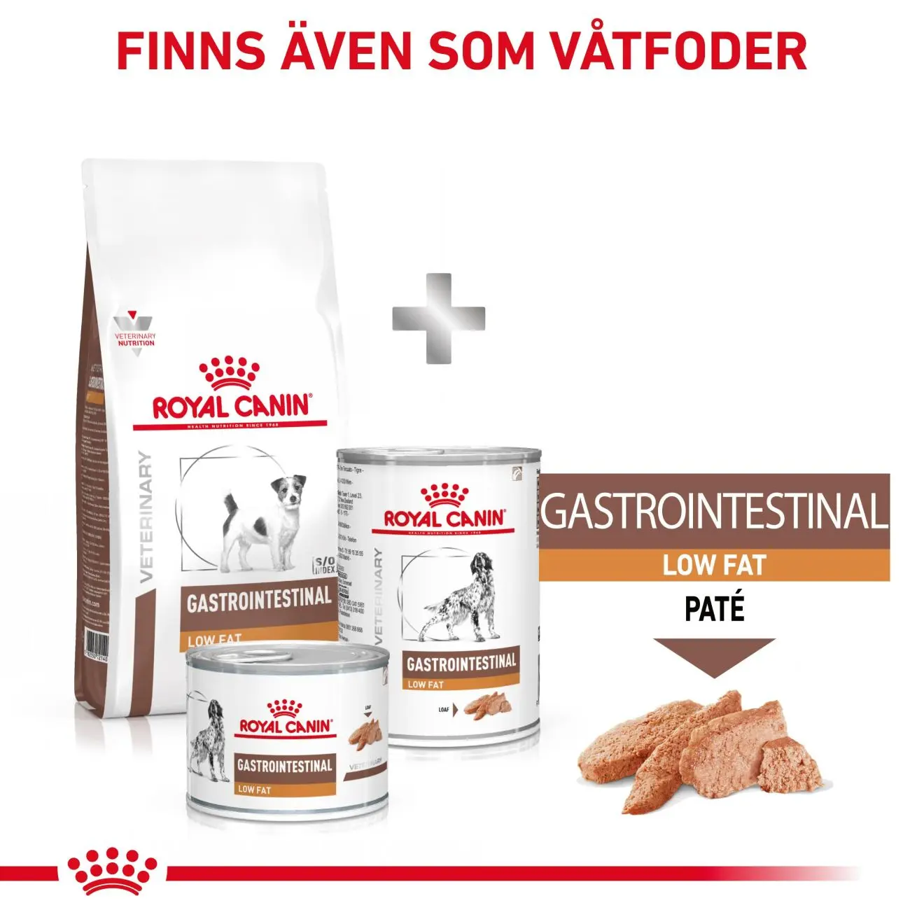 Gastrointestinal Low Fat Small Dog Kuivaruoka koirille