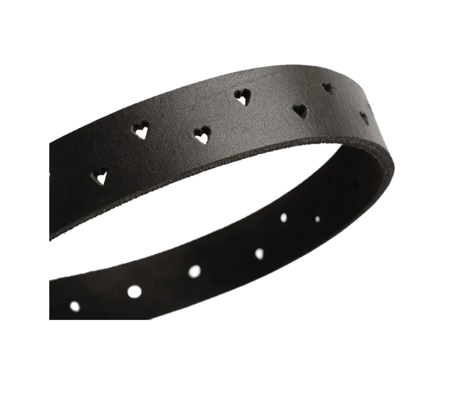 Hundhalsband Aalborg Soul Svart