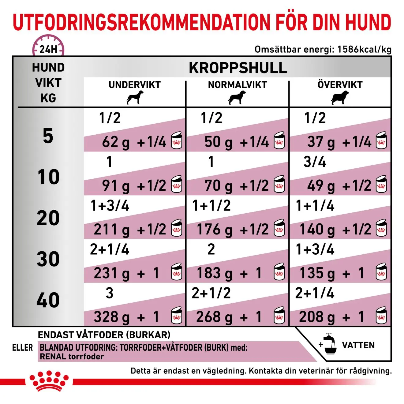 Renal Märkäruoka koirille
