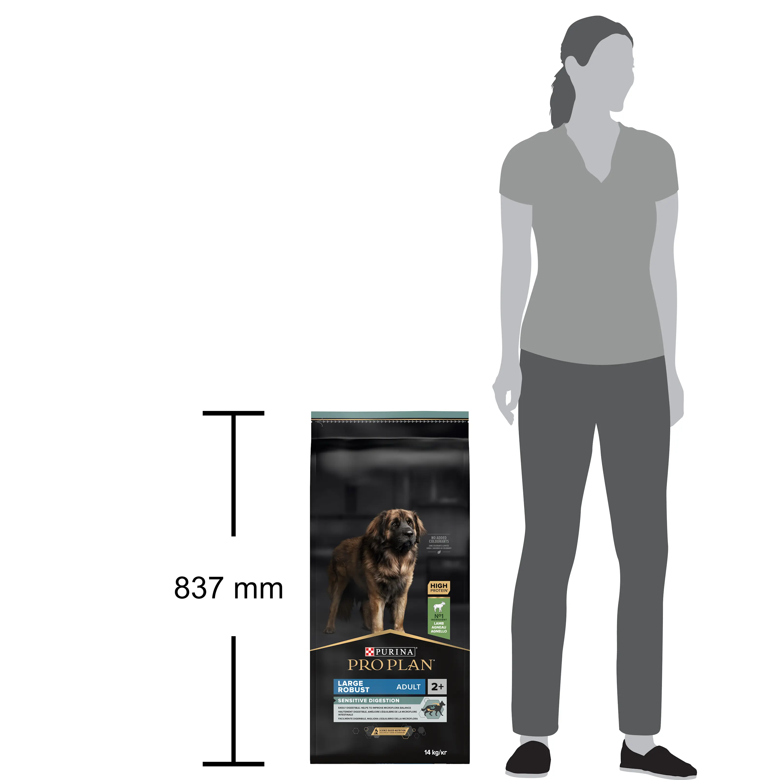 Dog Large Adult Robust Sensitive Digestion - rik på lam