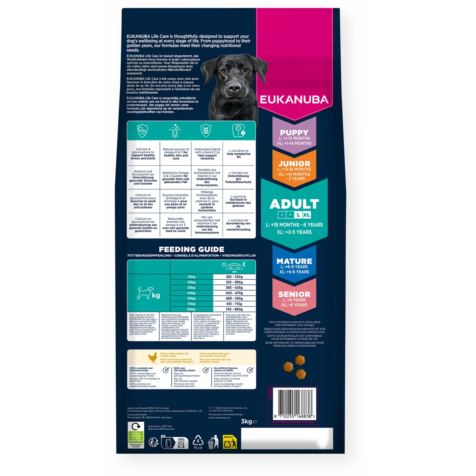 Dog Adult Large