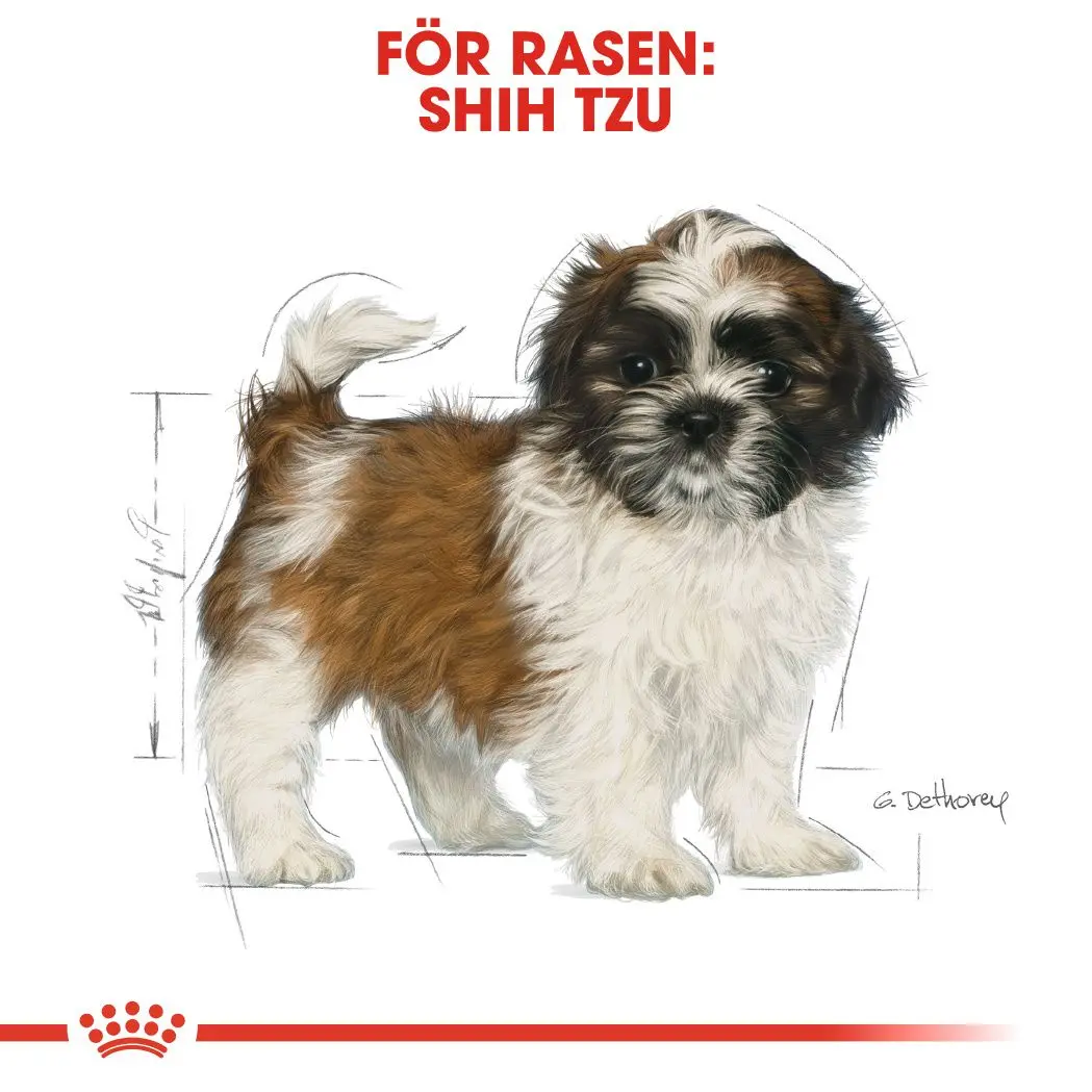 Shih Tzu Puppy Kuivaruoka pennuille