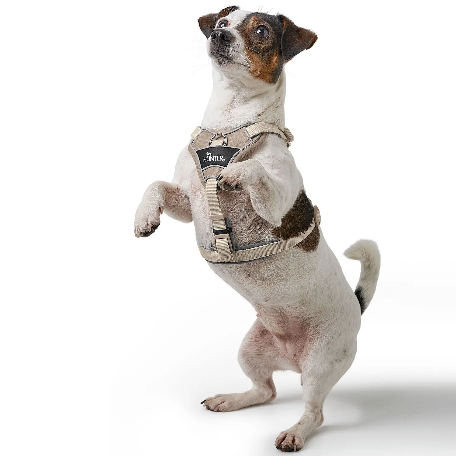 Harness Divo Up Polyester taupe