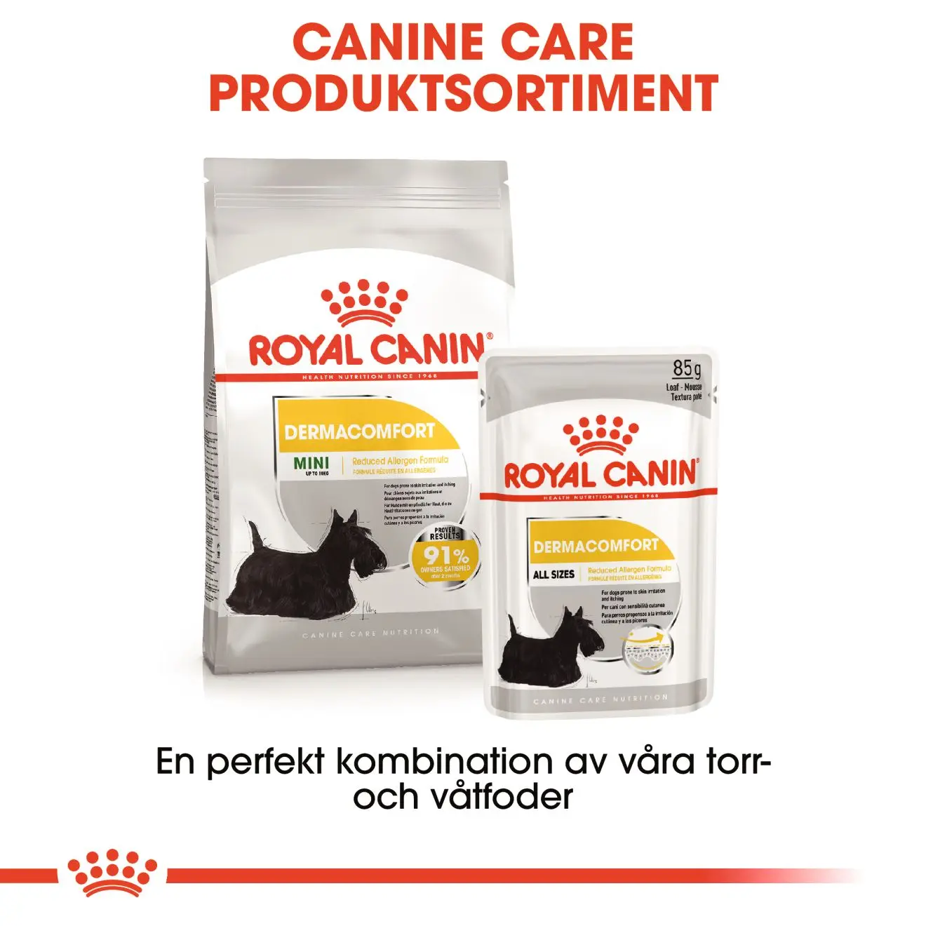 Dermacomfort Wet Märkäruoka koirille