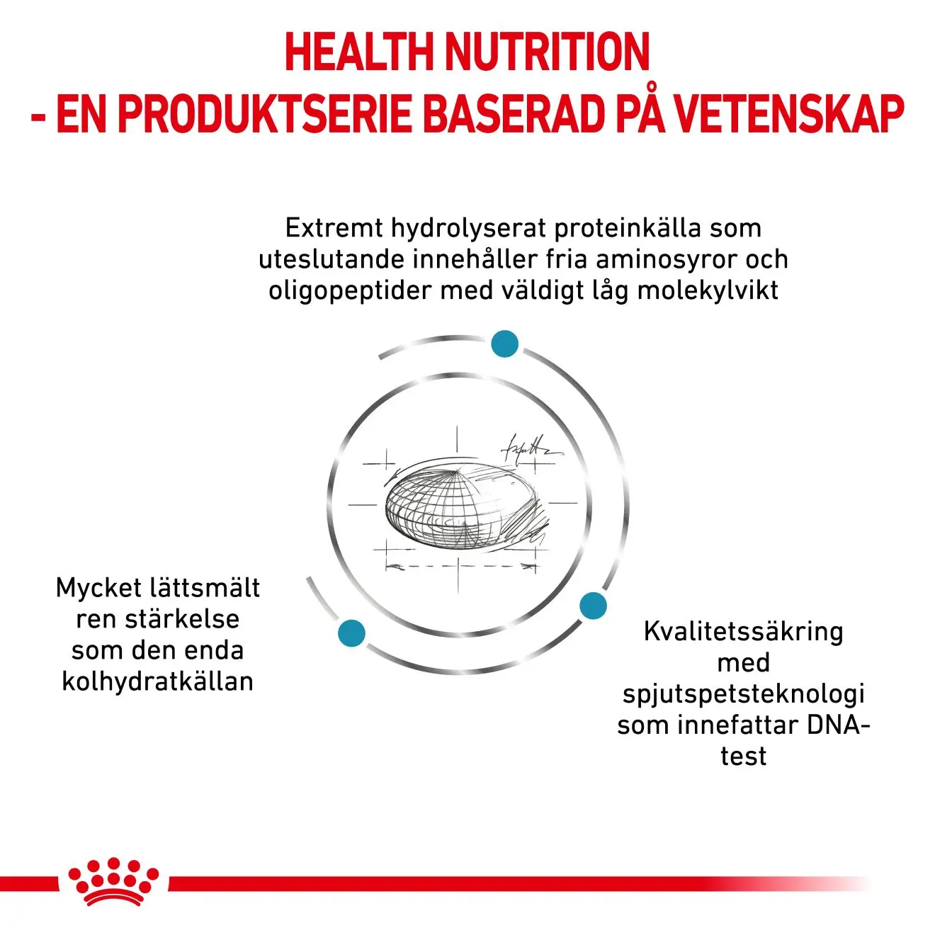 Derma Anallergenic Small Dog kuivaruoka koirille