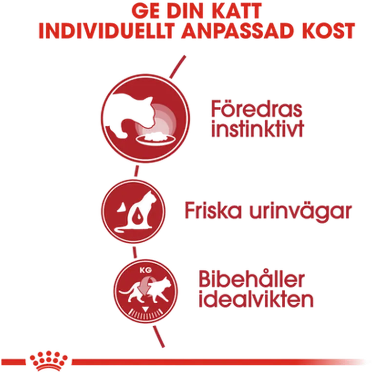 Instinctive Adult kissan märkäruoka hyytelössä