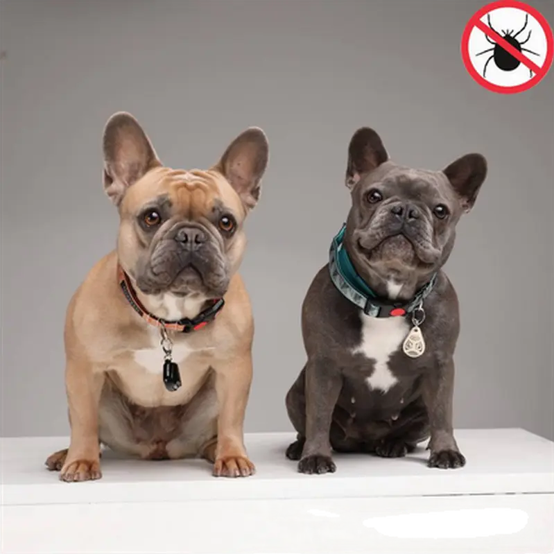Pet Ultrasonic Tick and Flea Repeller