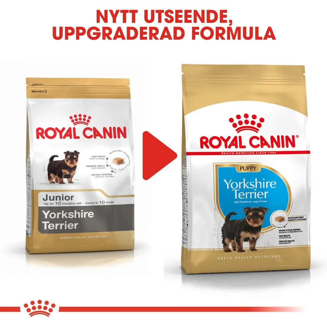 Rotu Yorkshire Terrier Puppy Kuivaruoka pennulle