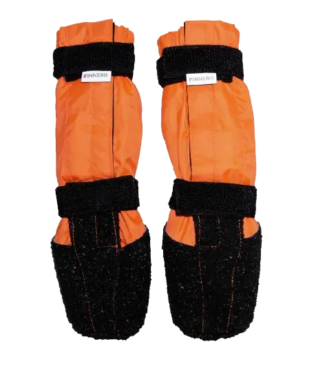 Koirankenkä Halla Sulo 2-pack, XS, Orange