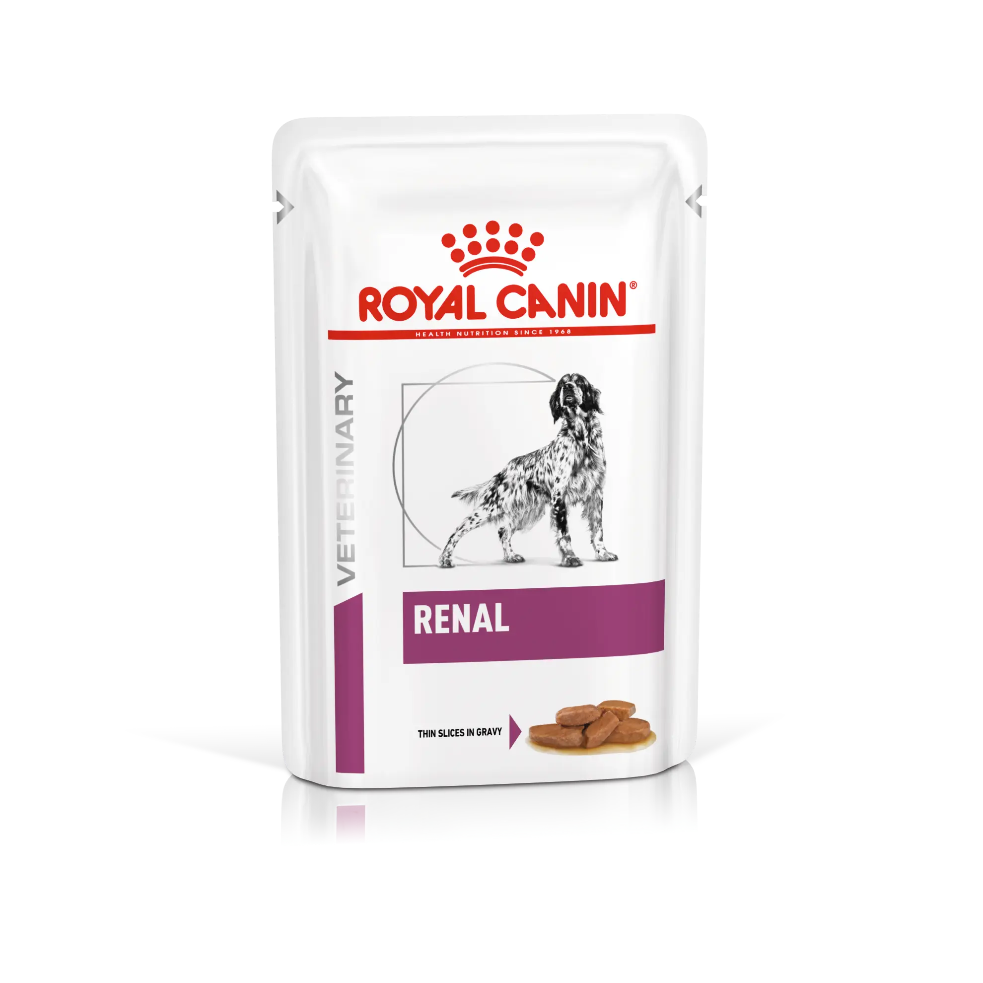 Vital Renal Märkäruoka koirille 100 g x 12 kpl