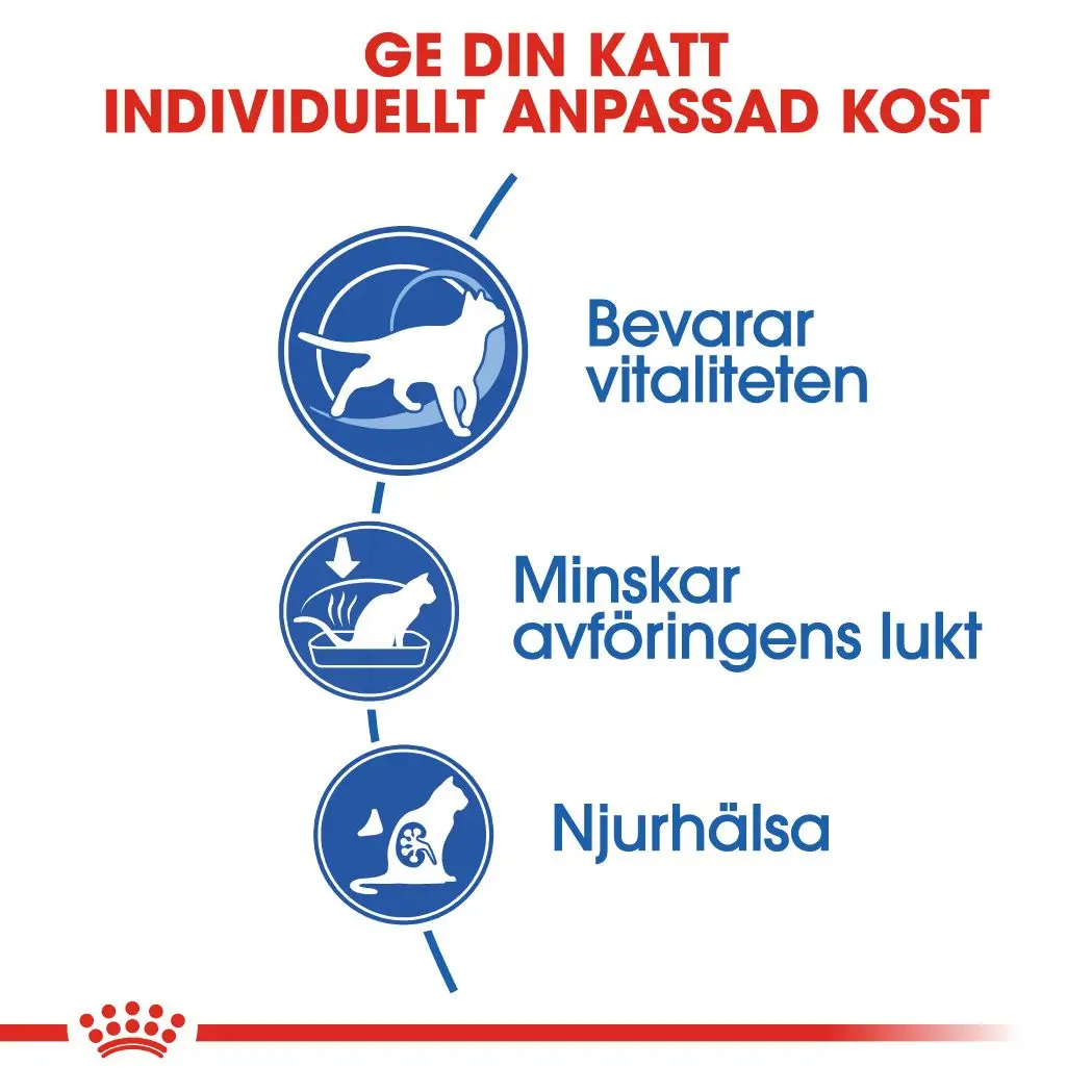 Indoor 7+ Ageing Torrfoder för katt
