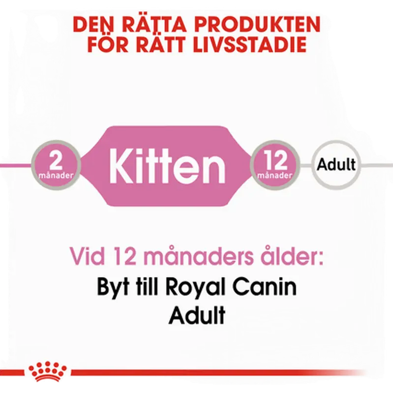 Kitten Jelly kissanpennun märkäruoka