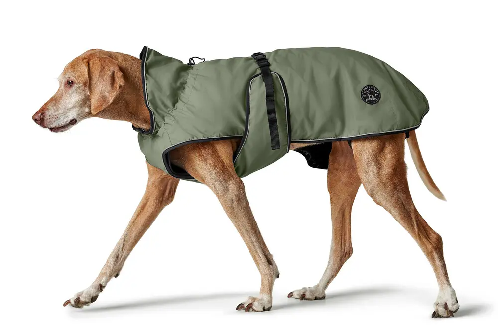 Frakk Uppsala Polyester Khaki