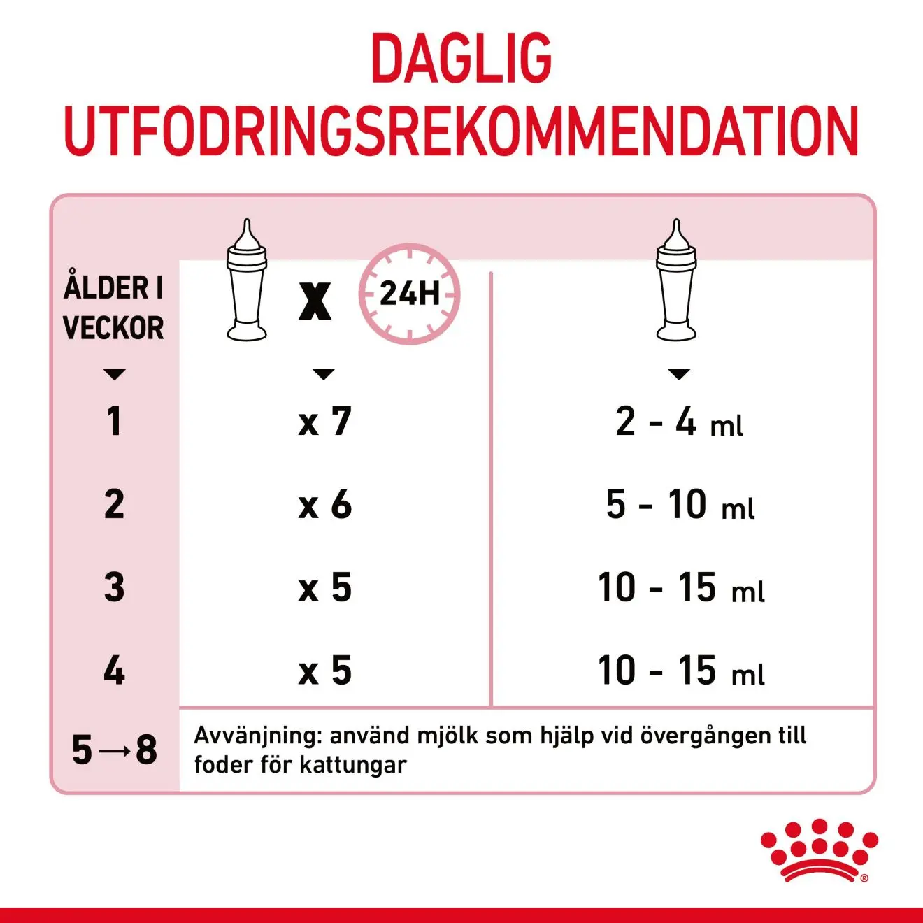 Babycat Milk Starter maito kissanpennulle