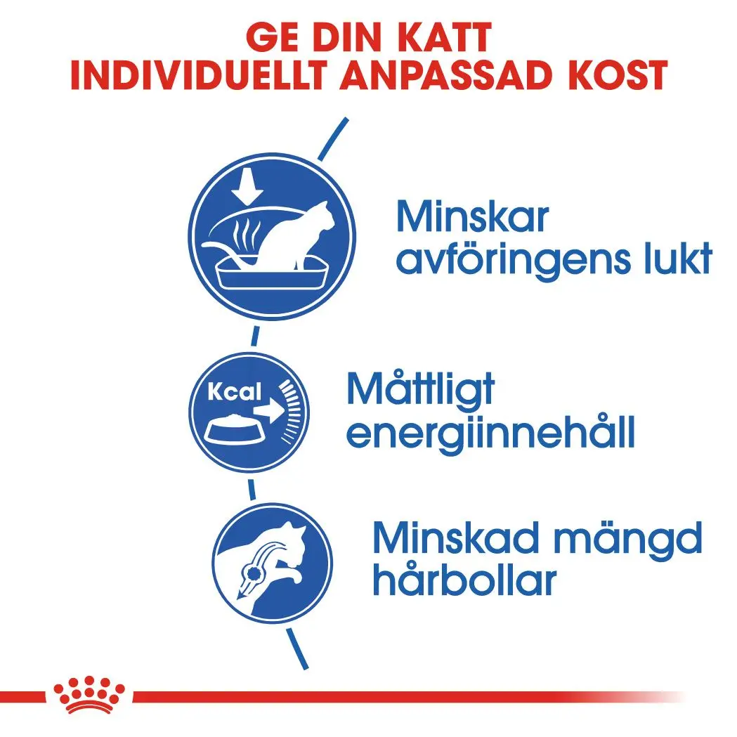 Indoor Adult Cat dry food