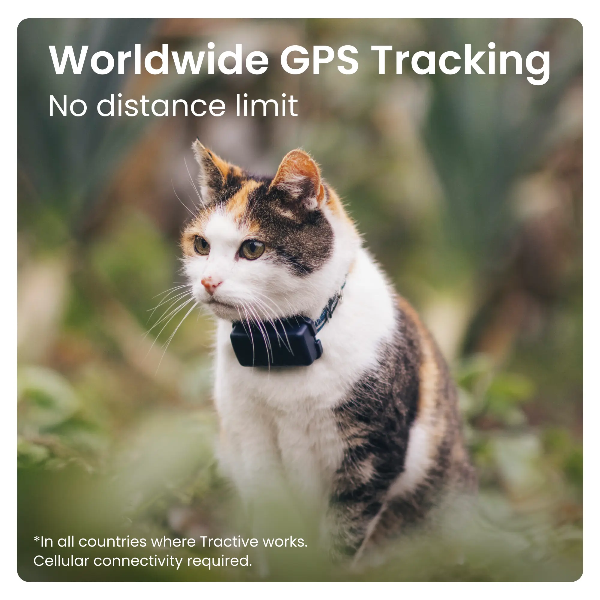 Tractive CAT Mini GPS sininen