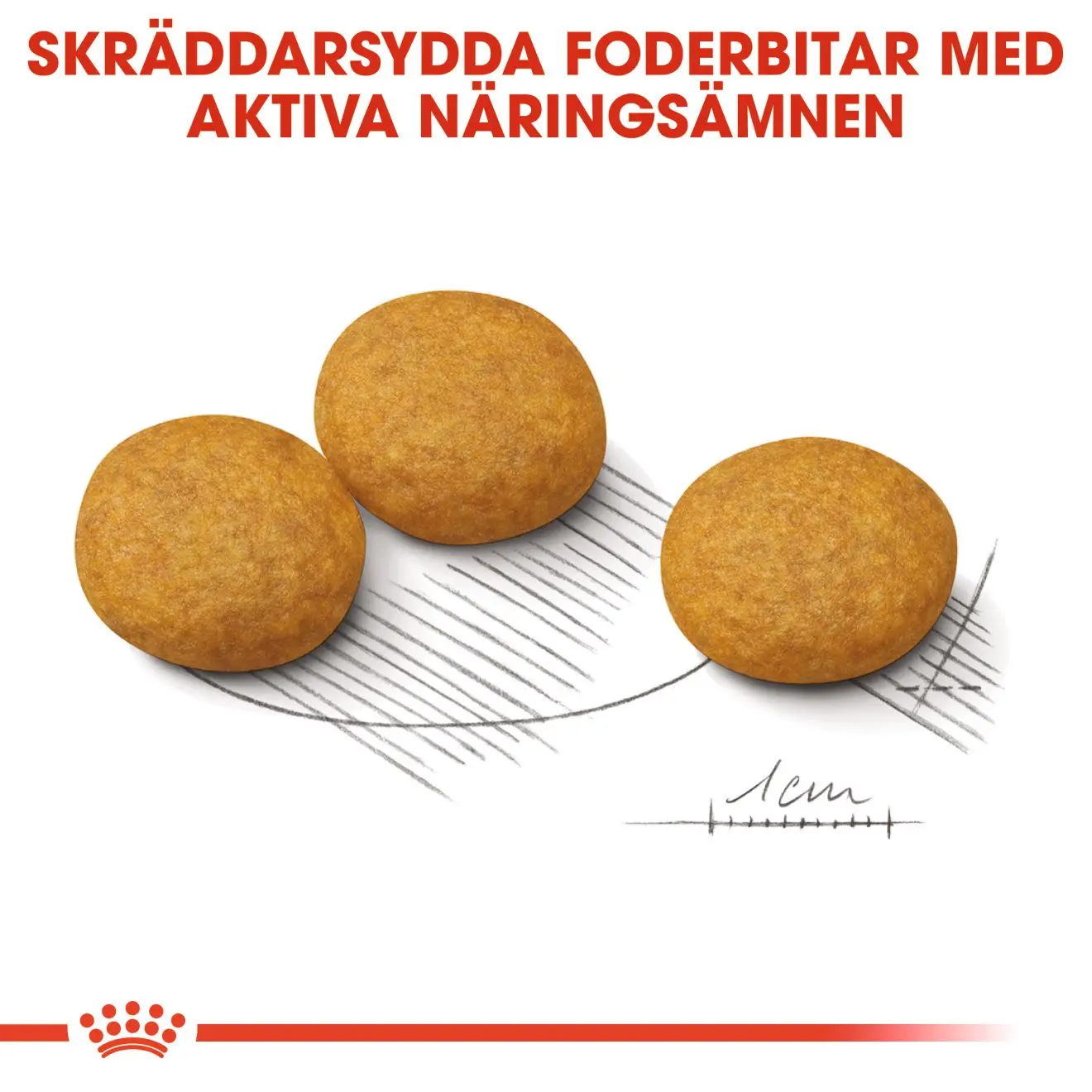 Dermacomfort Adult Medium kuivaruoka koirille