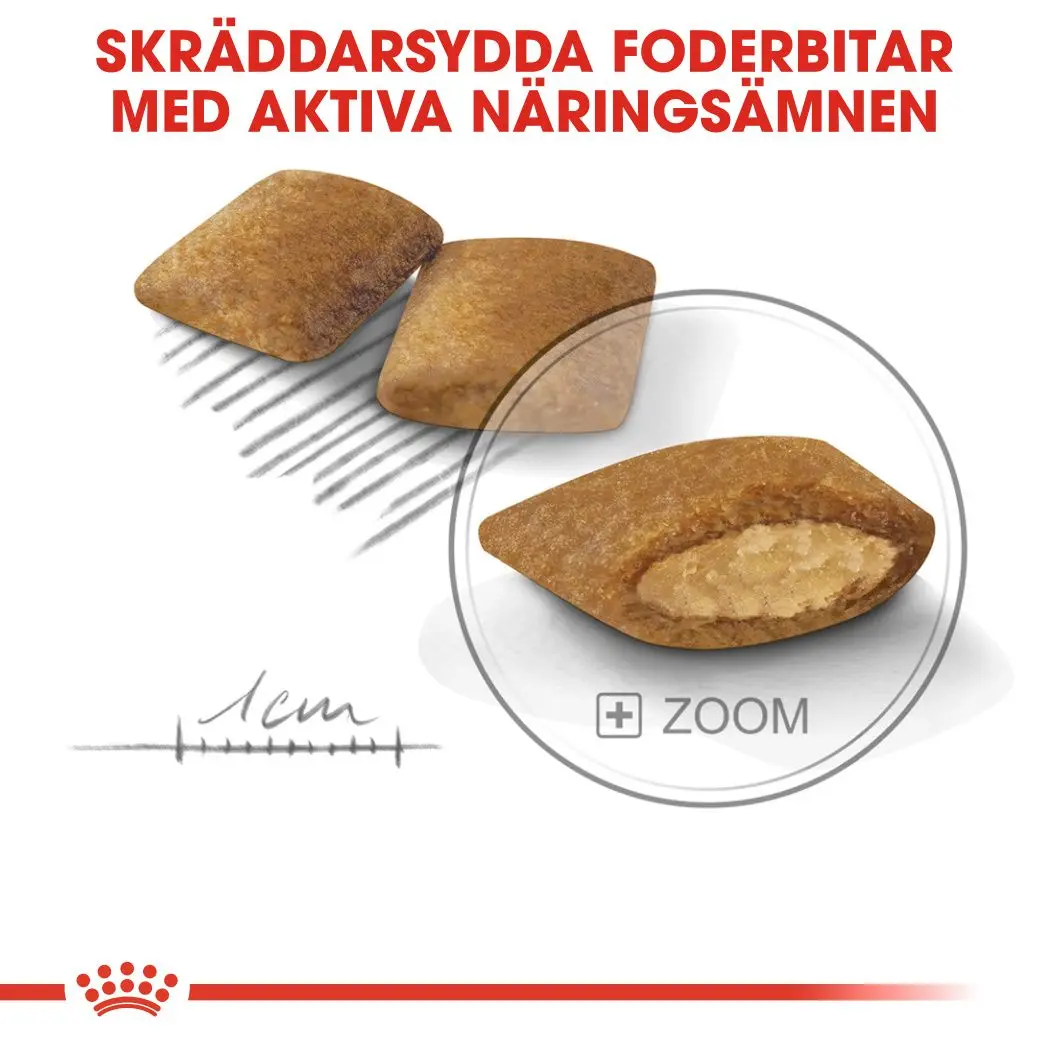 Koko Mini Exigent Kuivaruoka koirille