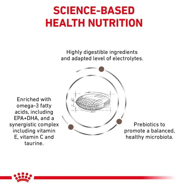 Royal Canin Veterinary Diets Cat Gastrointestinal Hairball – torrfoder